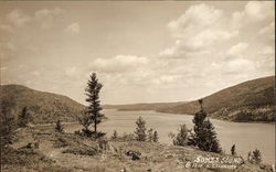 Somes Sound Postcard