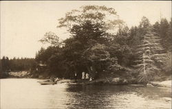 Boating on the Lake Postcard