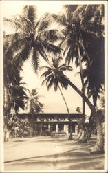 Halekulani Hotel Honolulu, HI Postcard Postcard