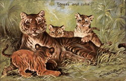 Tigress and Cubs Postcard