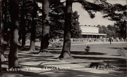 Greetings from Tanglewood Postcard