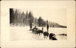 Men With Dogsled Team Canada Postcard Postcard