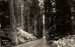 Redwood Highway Garberville, CA Postcard Postcard