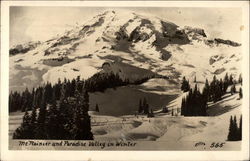 Mt. Rainier and Paradise Valley in Winter Postcard