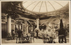 Empress Hotel - Palm Room Postcard