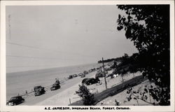 A. E. Jamieson, Ipperwash Beach Forest, ON Canada Ontario Postcard Postcard