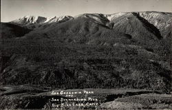 San Gorgonia Park and San Bernadino Peak Postcard