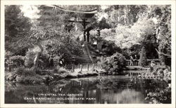 Oriental Tea Garden, Golden Gate Park Postcard