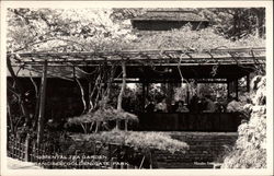 Oriental Tea Garden, Golden Gate Park San Francisco, CA Postcard Postcard