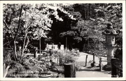 Oriental Tea Garden, Golden Gate Park San Francisco, CA Postcard Postcard