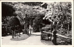 Oriental Tea Garden, Golden Gate Park Postcard