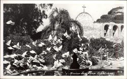 Mission San Juan Capistrano Postcard