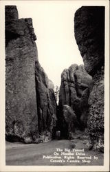 The Big Tunnel on Needles Drive Black HIlls, SD Postcard Postcard