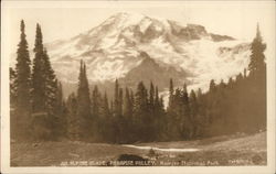 An Alpine Glade, Paradise Valley Postcard