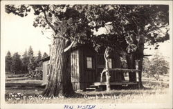 Camp Juniper Postcard