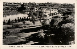 Park Scene Postcard