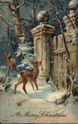 Two deer trying to open a closed gate Postcard