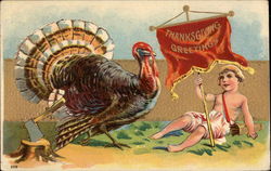 Thanksgiving Greetings Postcard