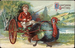 Boy Riding a Turkey Cart Children Postcard Postcard