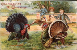 Thanksgiving Greetings - Turkeys with Children Postcard Postcard