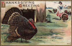 Thanksgiving Greeting - Turkey in Farmyard Postcard