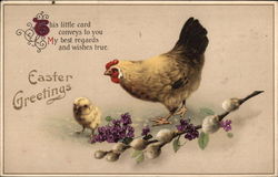 Easter Greetings - Chicken and Chicks With Chicks Postcard Postcard