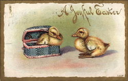 Two Baby Chicks, with One in Small Basket With Chicks Postcard Postcard