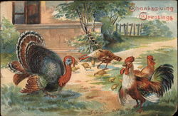 Thanksgiving Greetings - Farmyard with Turkey and Chickens Postcard