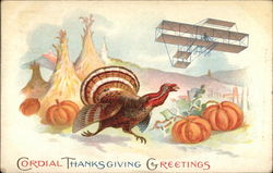 Turkey and Pumpkins with Vintage Biplane Postcard