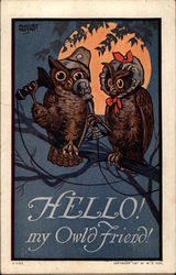 Two Owls in a Tree Comic, Funny Postcard Postcard