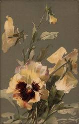 Pansies C. Klein Postcard Postcard