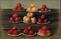 Plates of Apples Fruit Postcard Postcard