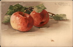 Two Red Apples on a Branch Postcard