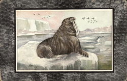 Walrus on an Iceberg Postcard