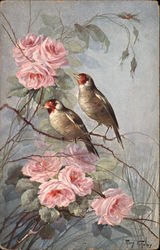 Two Birds on Branch with Pink Flowers Postcard