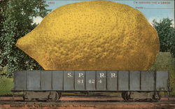 Giant Lemon on a Railway Truck Exaggeration Postcard Postcard