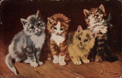 Four Kittens Looking Adorable Postcard