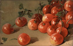 Painted Cherries Fruit Postcard Postcard