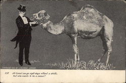 A Camel Can Go Eight Days Without A Drink, But Who Wants To Be a Camel ? Drinking Postcard Postcard