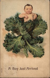 Baby in Head of Lettuce With Children Postcard Postcard