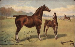 Hackney Mare and Foal Tuck's Oilette Series Postcard Postcard