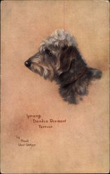 Young Dandie Dinmont Terrier by Maud West-Watson Postcard