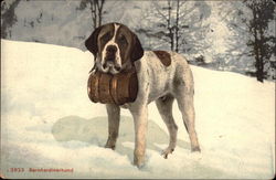 St. Bernard Dog with Whiskey Keg Saint Bernards Postcard Postcard