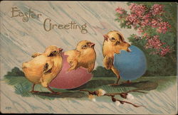 Three Chicks and Colored Eggshells With Chicks Postcard Postcard