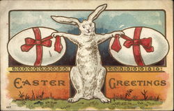 Easter Greeting - Rabbit with Eggs Postcard