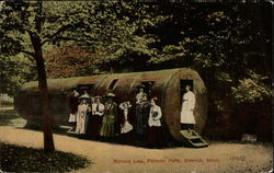 Spruce Log, Palmer Park Detroit, MI Postcard Postcard