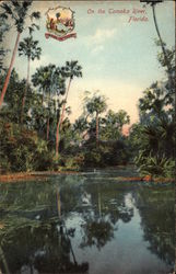 On the Tomoka River Ormond Beach, FL Postcard Postcard