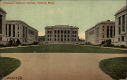 Harvard Medical School Postcard