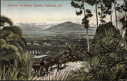 Entrance to Smiley Heights Redlands, CA Postcard Postcard