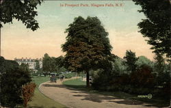 In Prospect Park Postcard